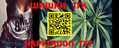 прущие грибы Будённовск