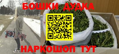 прущие грибы Будённовск