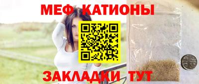 прущие грибы Будённовск