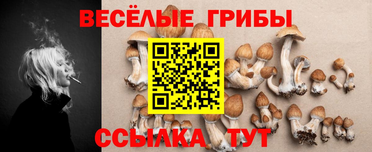 Псилоцибиновые грибы ЛСД Старая Русса